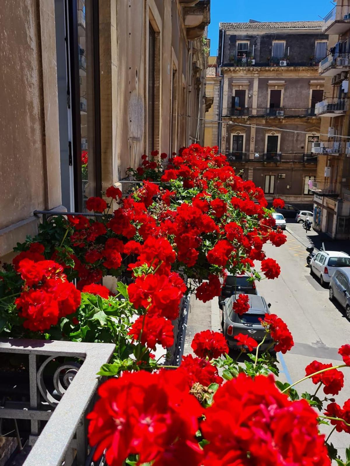 Ferrini Home - Rindone 6 Catania Bagian luar foto